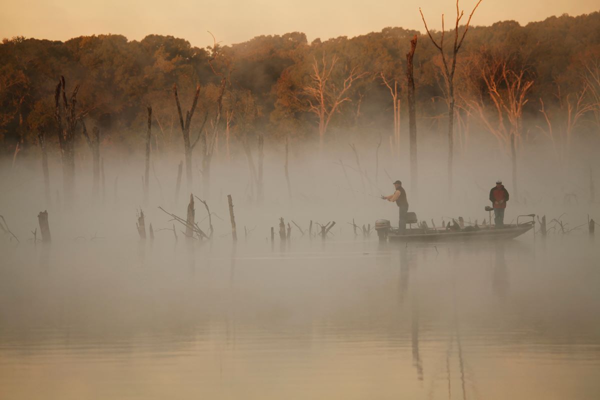 Best Bass Lures for Cloudy Days Tips & Tricks